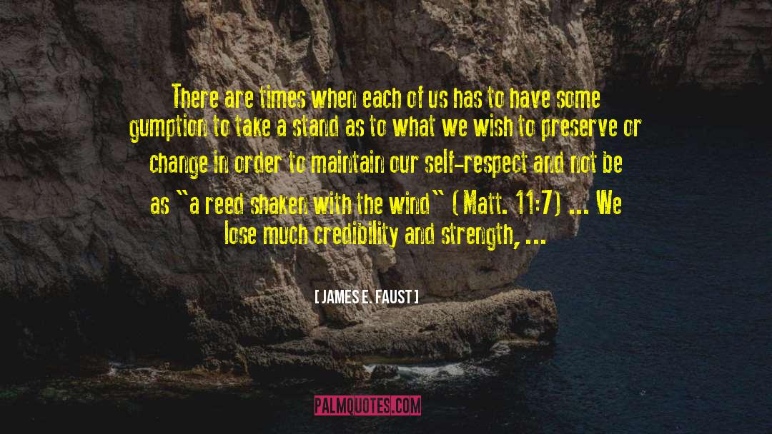 11 11 Phenomenon quotes by James E. Faust