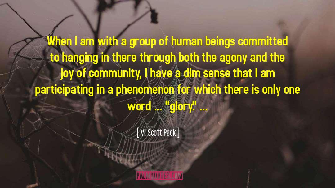 1111 Phenomenon quotes by M. Scott Peck