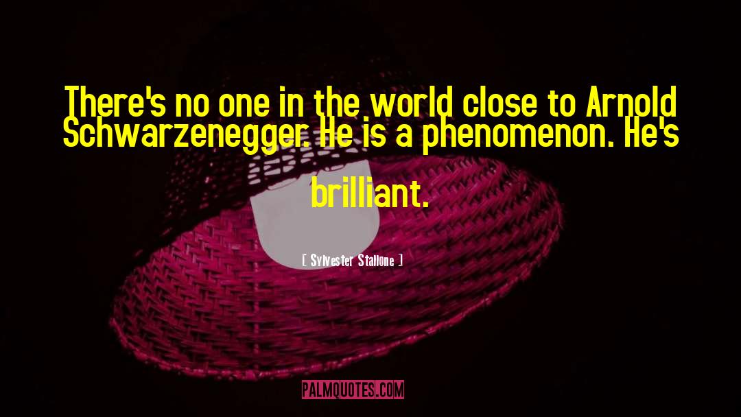 1111 Phenomenon quotes by Sylvester Stallone