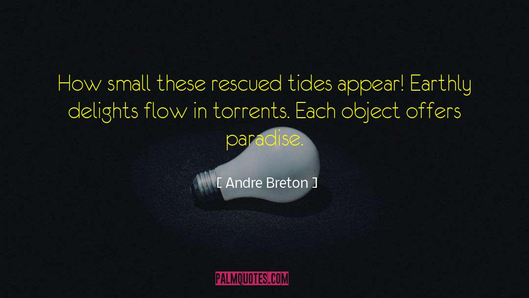 1137 Torrents quotes by Andre Breton