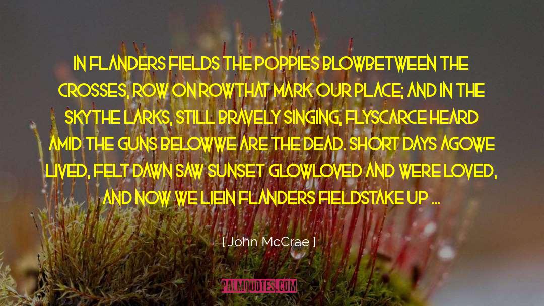 11th Hour quotes by John McCrae