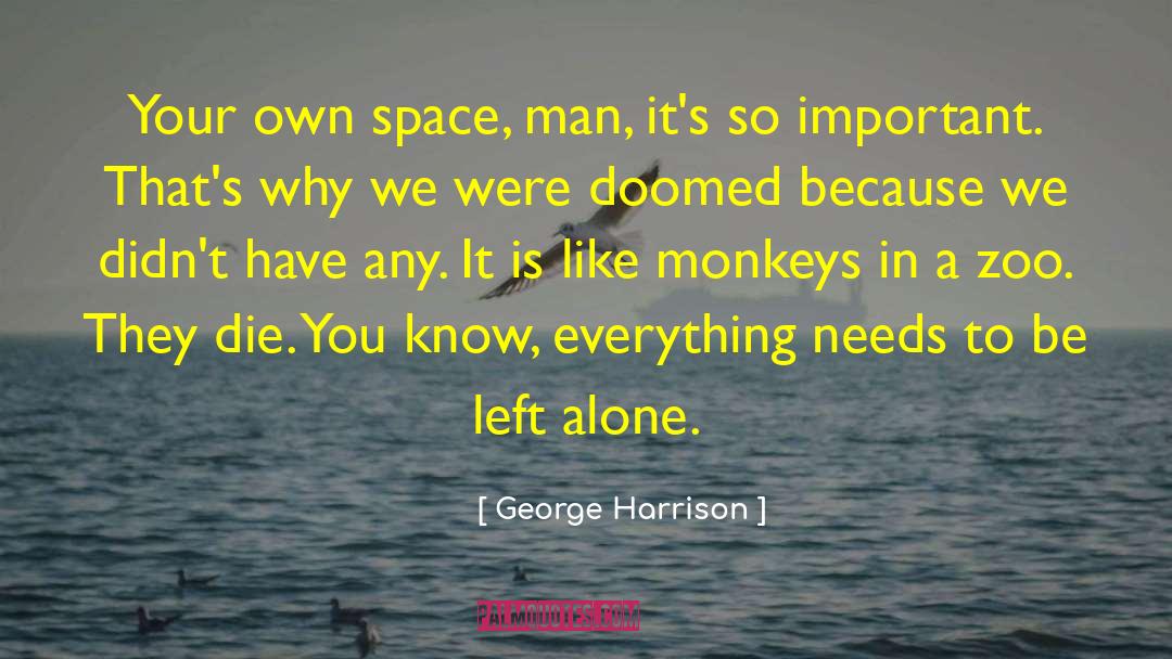 12 Monkeys quotes by George Harrison