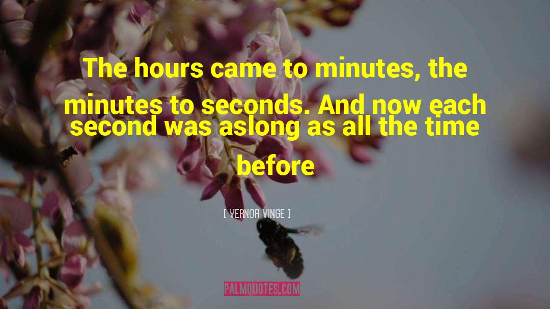 120 Minutes quotes by Vernor Vinge