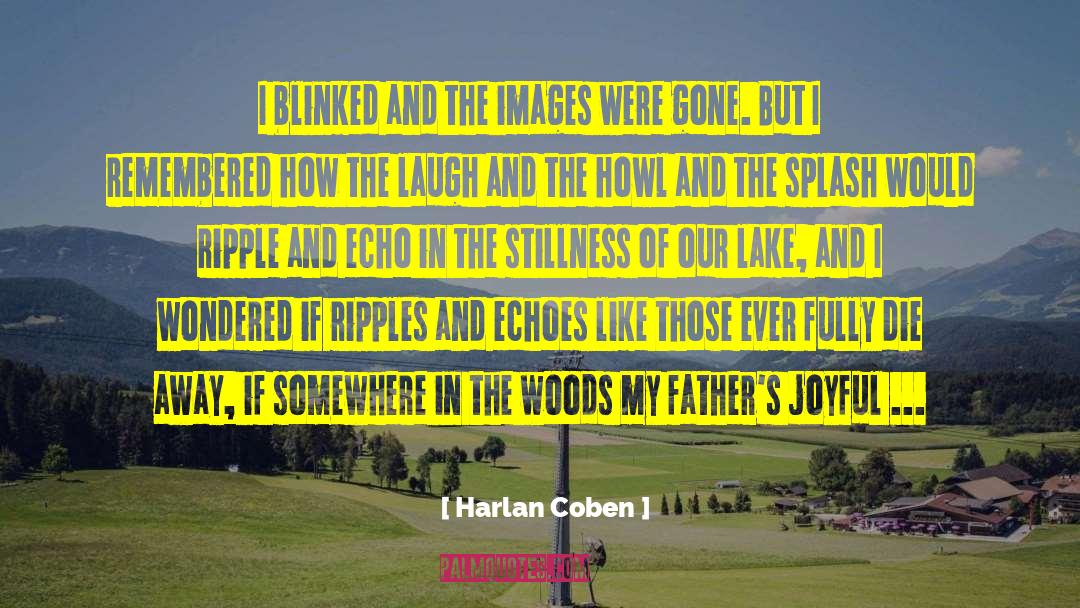 1317 Lake quotes by Harlan Coben