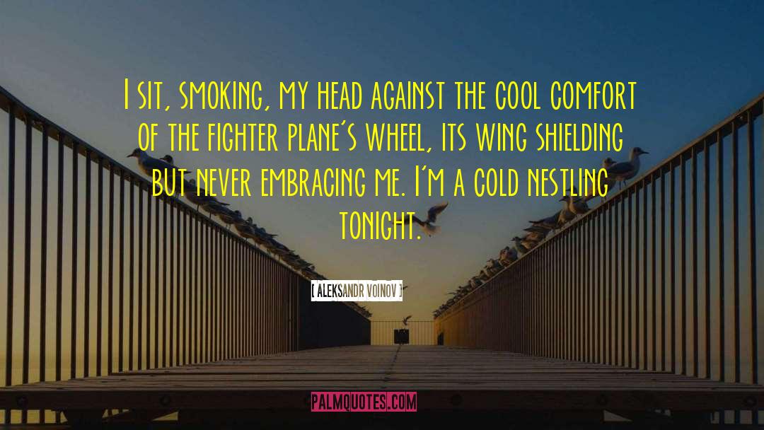 134th Fighter quotes by Aleksandr Voinov