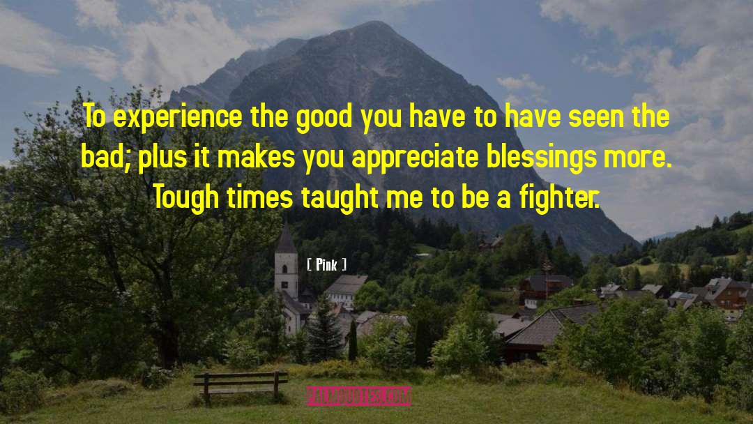 134th Fighter quotes by Pink