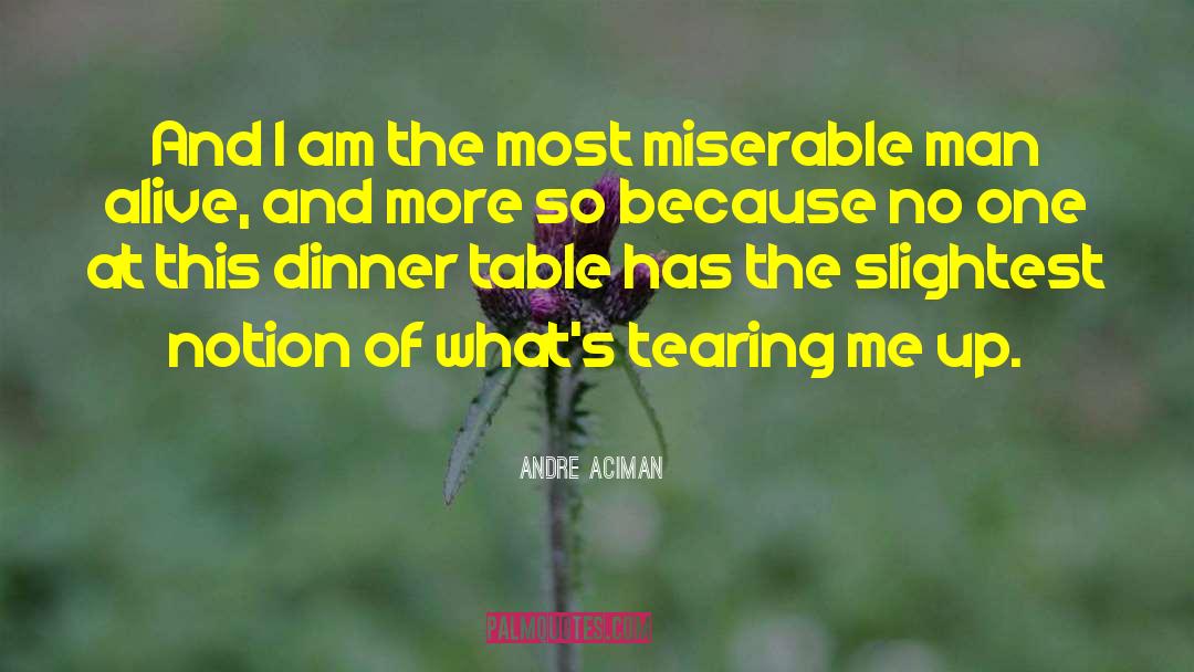 13s Table quotes by Andre Aciman