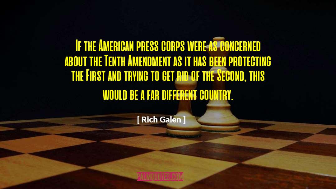 14th Amendment quotes by Rich Galen