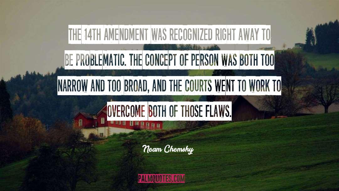 14th Amendment quotes by Noam Chomsky