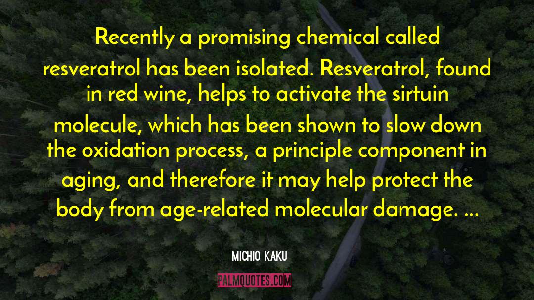 15 Red Wine quotes by Michio Kaku