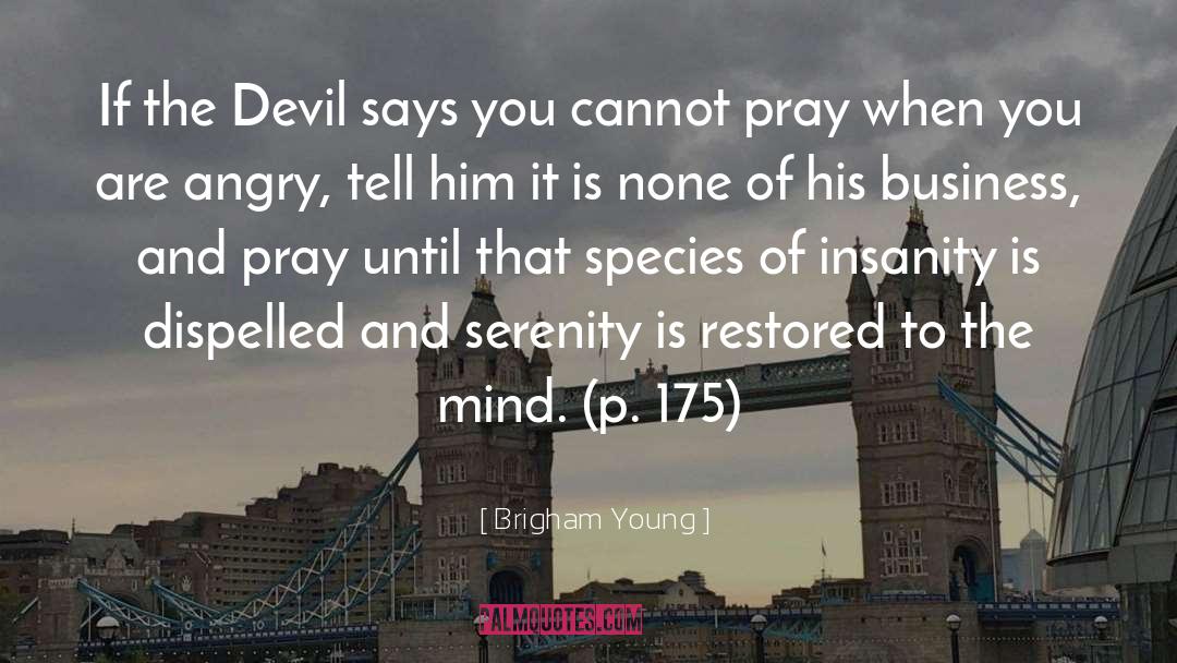 175 quotes by Brigham Young