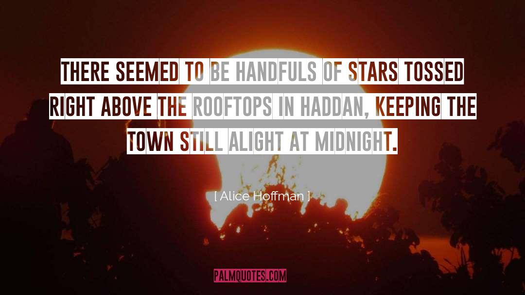 1772 Rooftop quotes by Alice Hoffman