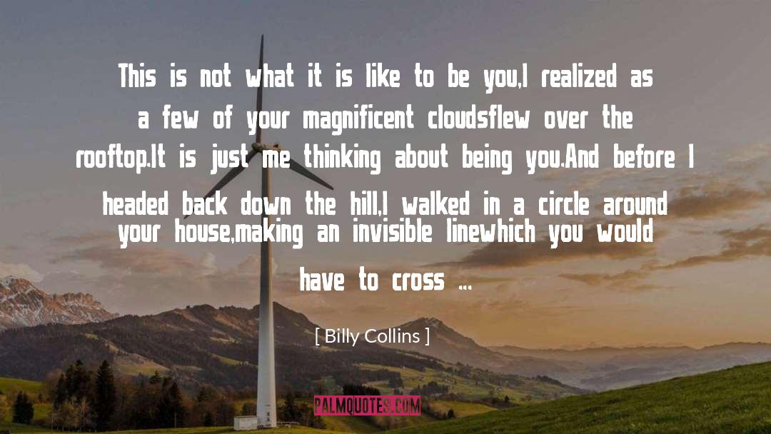 1772 Rooftop quotes by Billy Collins