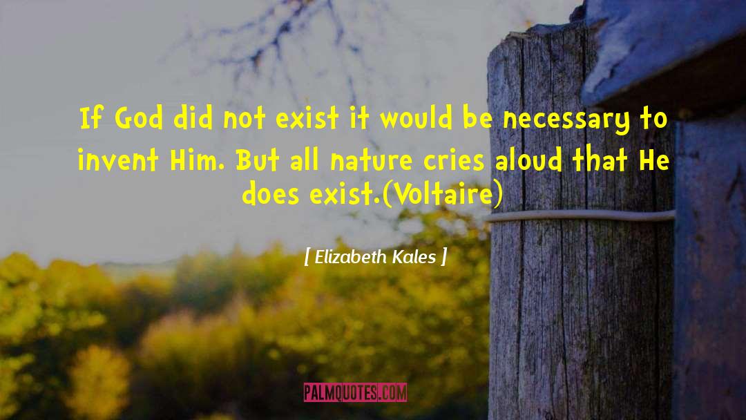17th Century Scotland quotes by Elizabeth Kales