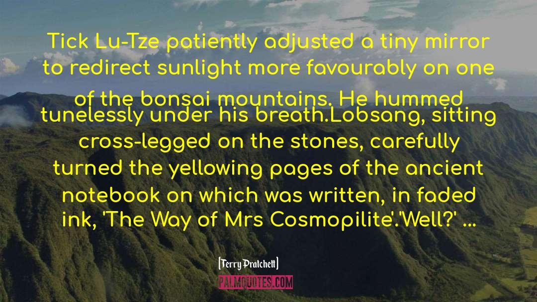1816 Volcano quotes by Terry Pratchett