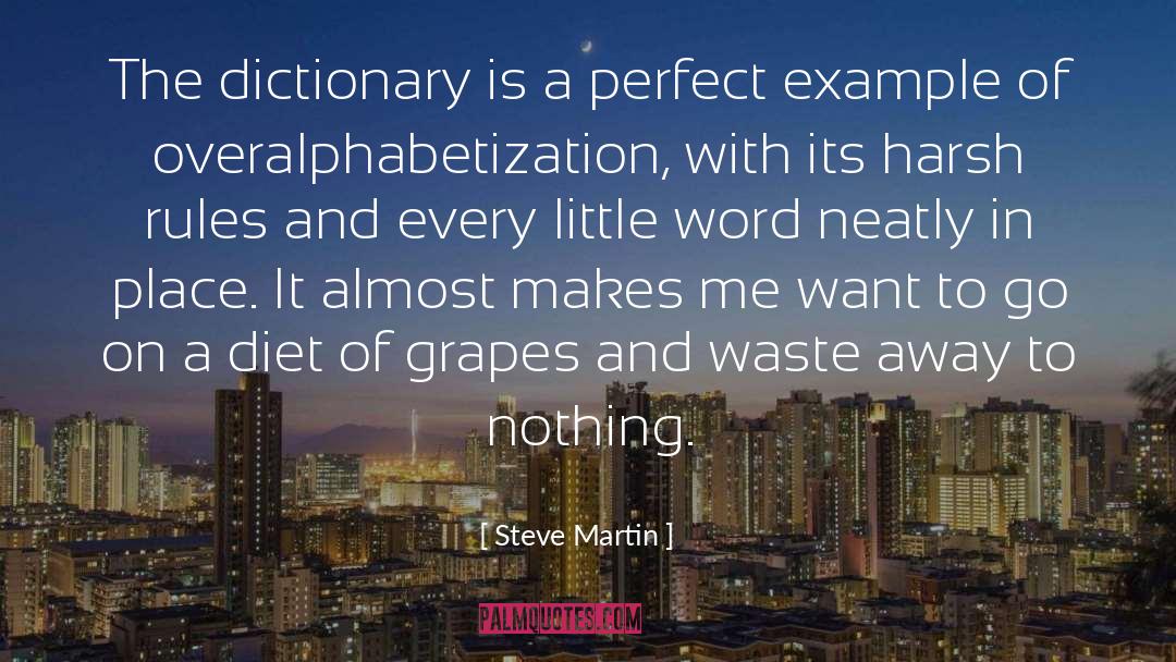 1826 Dictionary quotes by Steve Martin
