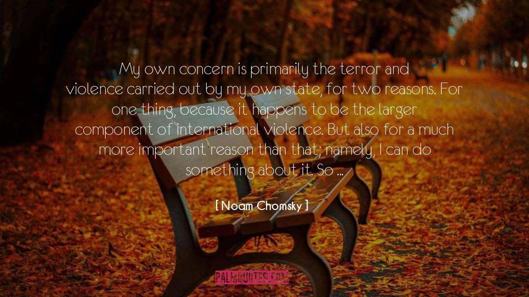 18th Century Curiousities quotes by Noam Chomsky