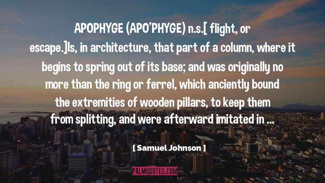 1920 S Architecture quotes by Samuel Johnson