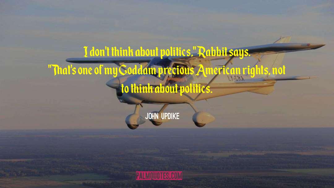 1920s Politics quotes by John Updike