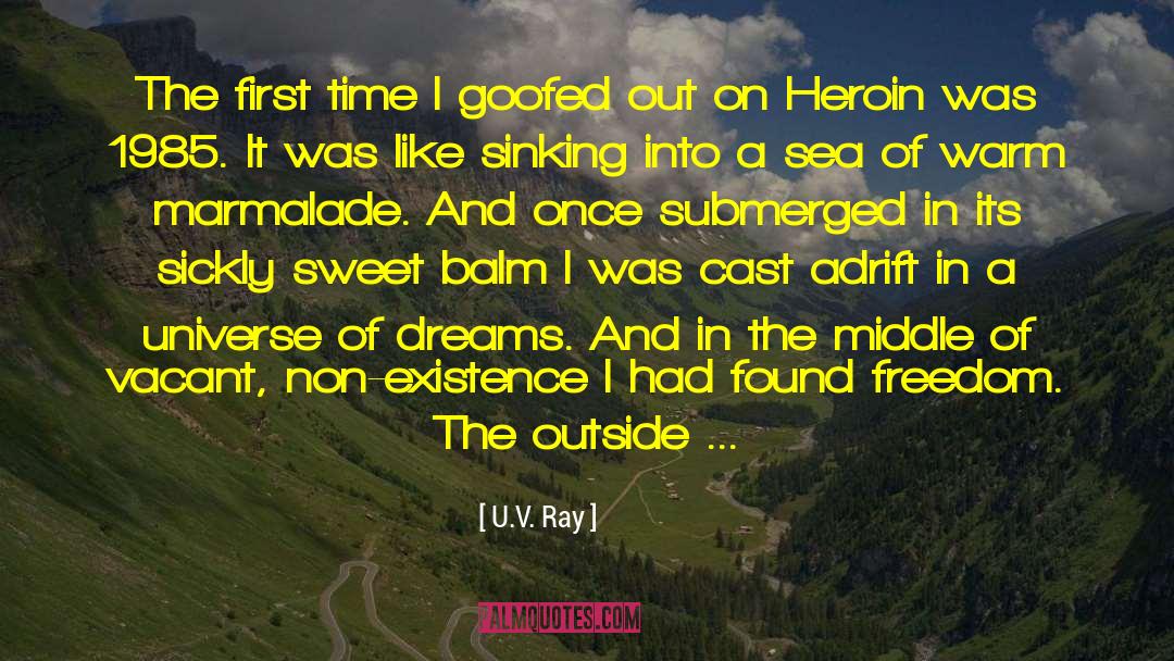 1985 quotes by U.V. Ray