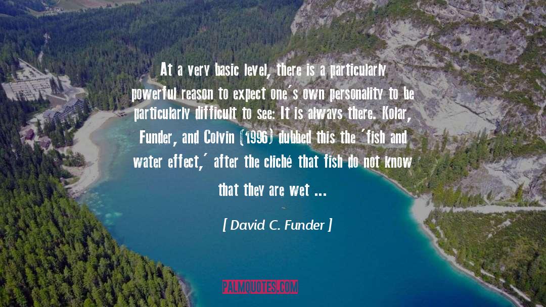 1996 quotes by David C. Funder