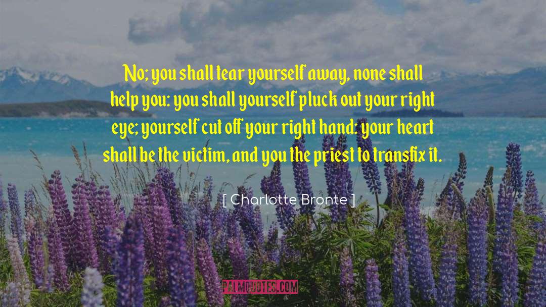 19th Century Philosopher quotes by Charlotte Bronte