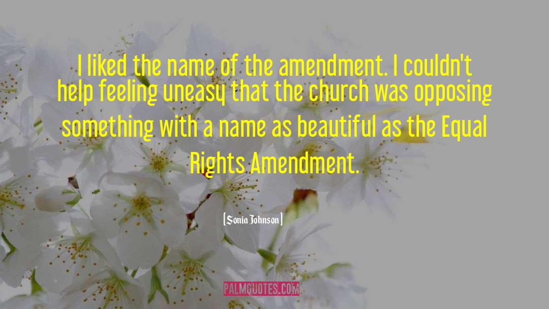 1st Amendment quotes by Sonia Johnson