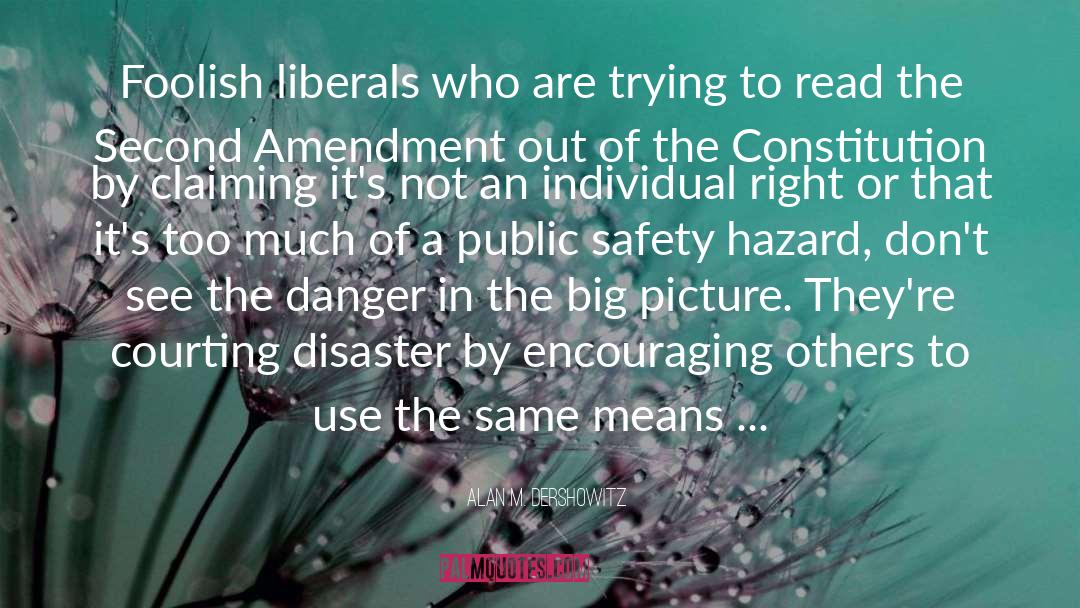 2 Amendment quotes by Alan M. Dershowitz