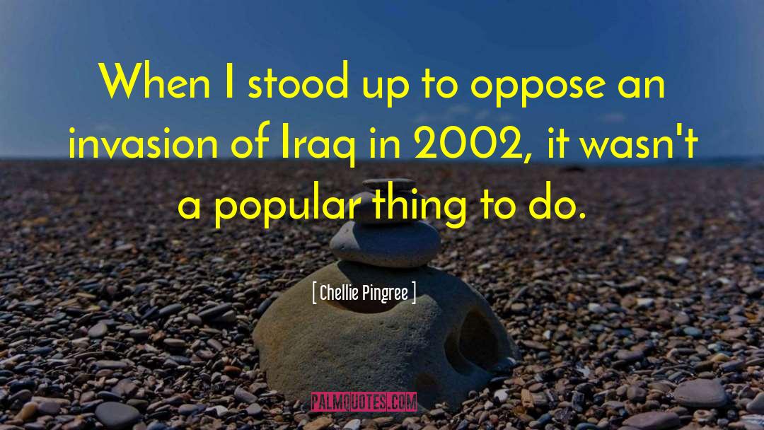 2003 Invasion Of Iraq quotes by Chellie Pingree