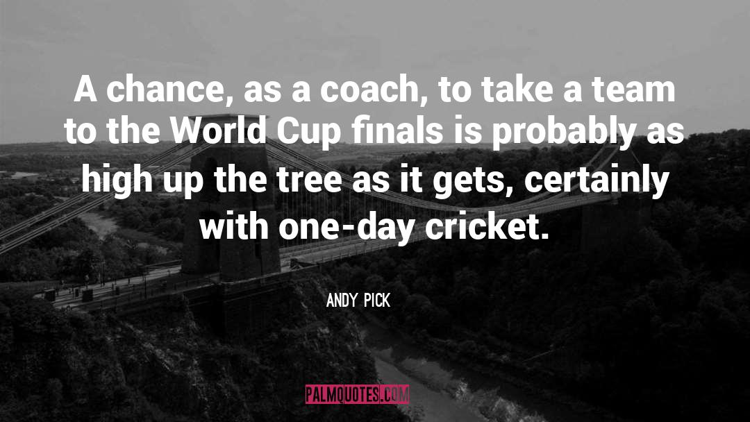 2011 Cricket World Cup quotes by Andy Pick