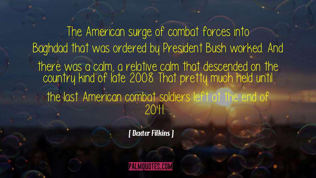 2011 Tuscon Shooting quotes by Dexter Filkins