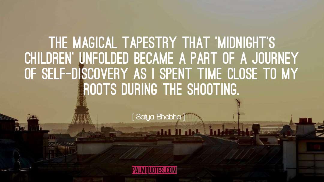 2011 Tuscon Shooting quotes by Satya Bhabha