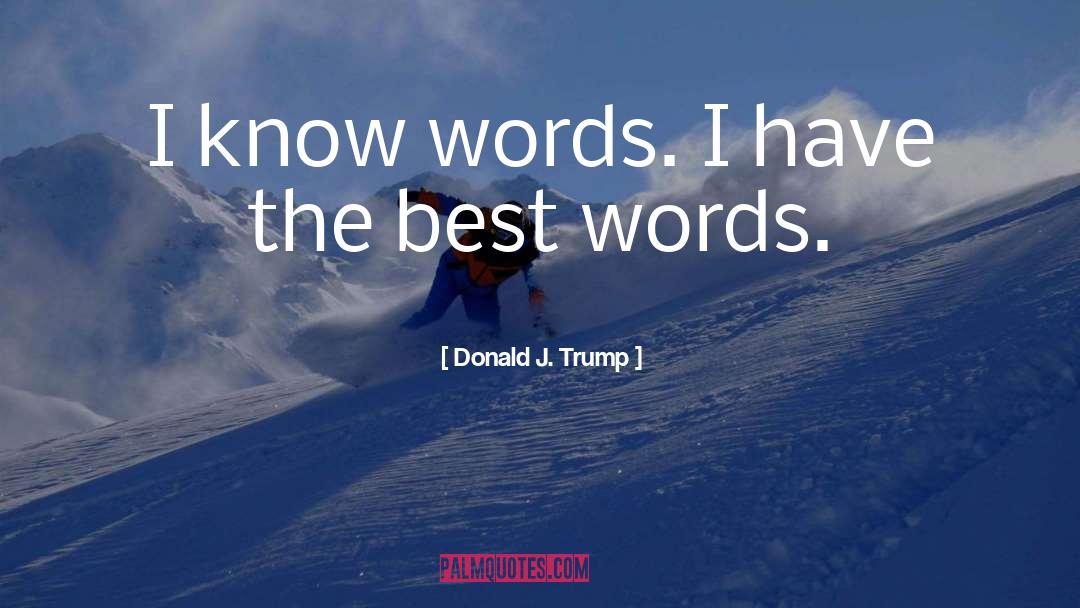 2016 quotes by Donald J. Trump