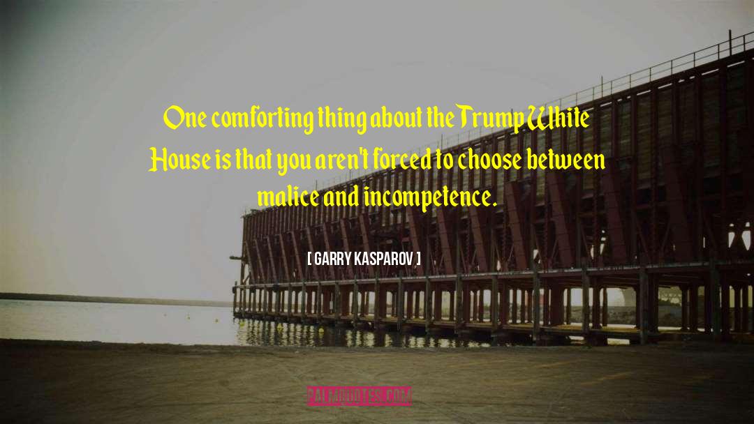 2017 quotes by Garry Kasparov