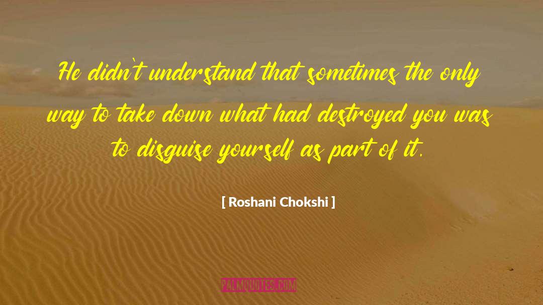 2019 Debut quotes by Roshani Chokshi