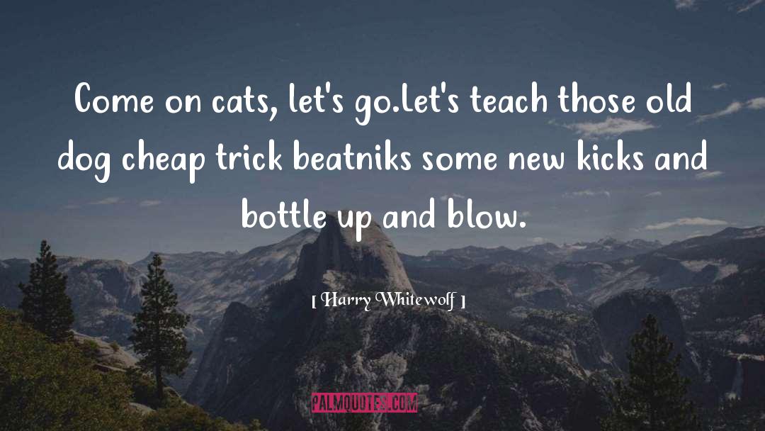 2019 Poetry quotes by Harry Whitewolf