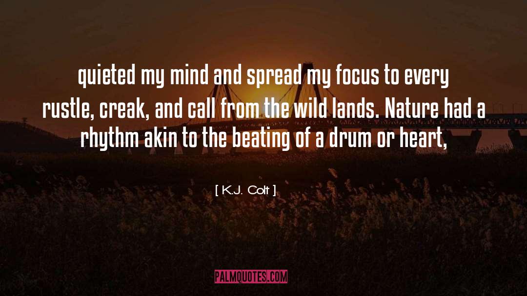 202d Drum quotes by K.J. Colt