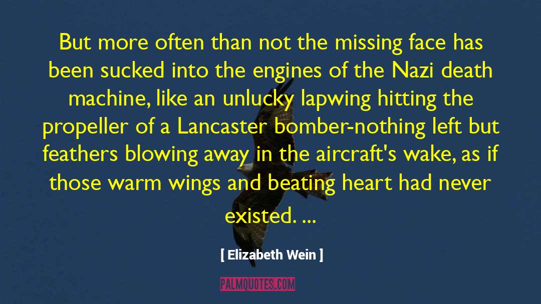 2037 Bomber quotes by Elizabeth Wein