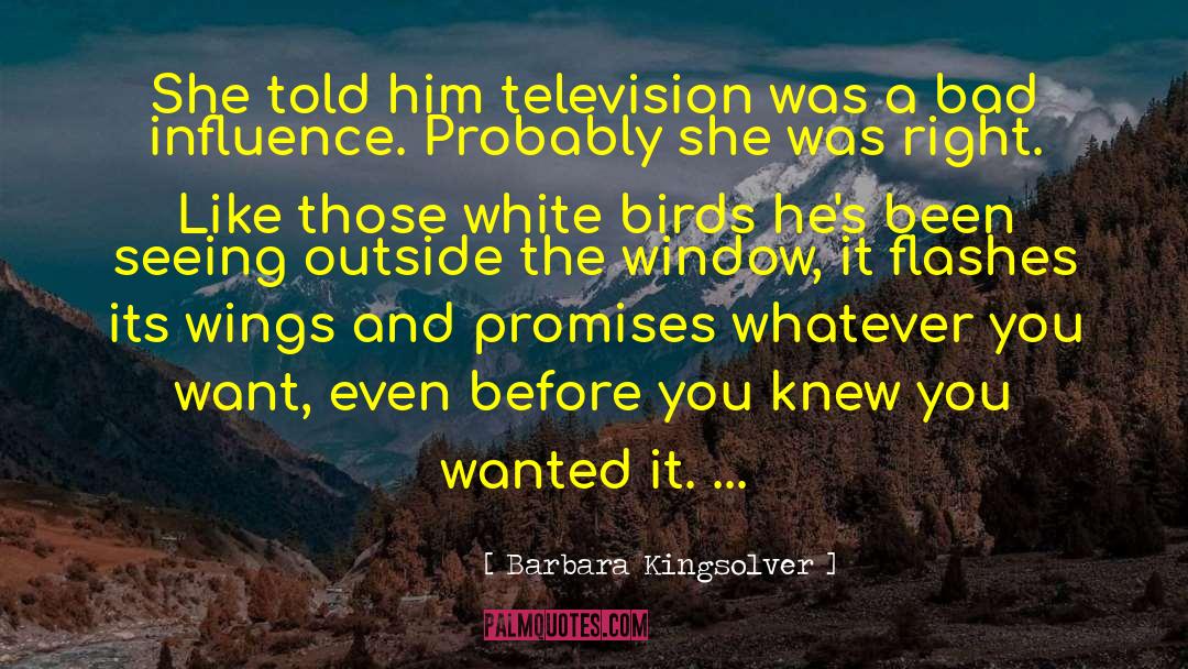 227 Tv quotes by Barbara Kingsolver