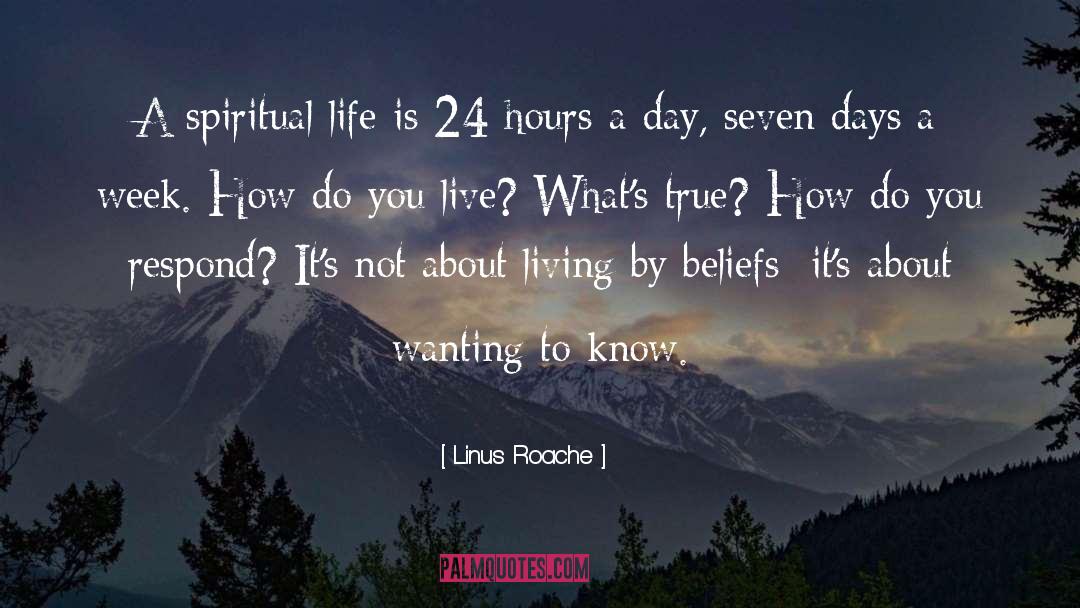 24 Hours To Succeed quotes by Linus Roache