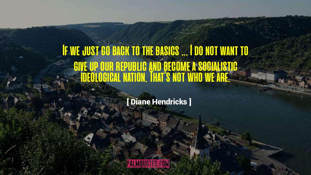 252 Basics quotes by Diane Hendricks
