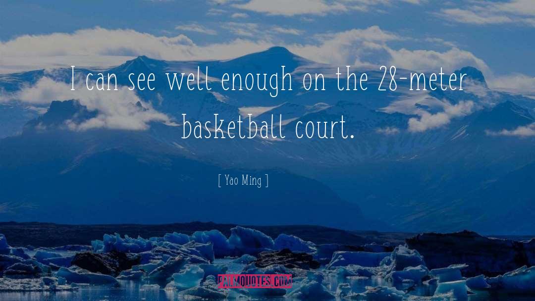 28 Dias quotes by Yao Ming