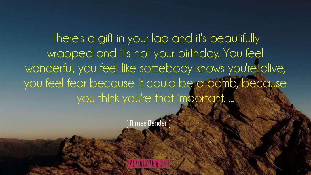 29th Feb Birthday quotes by Aimee Bender