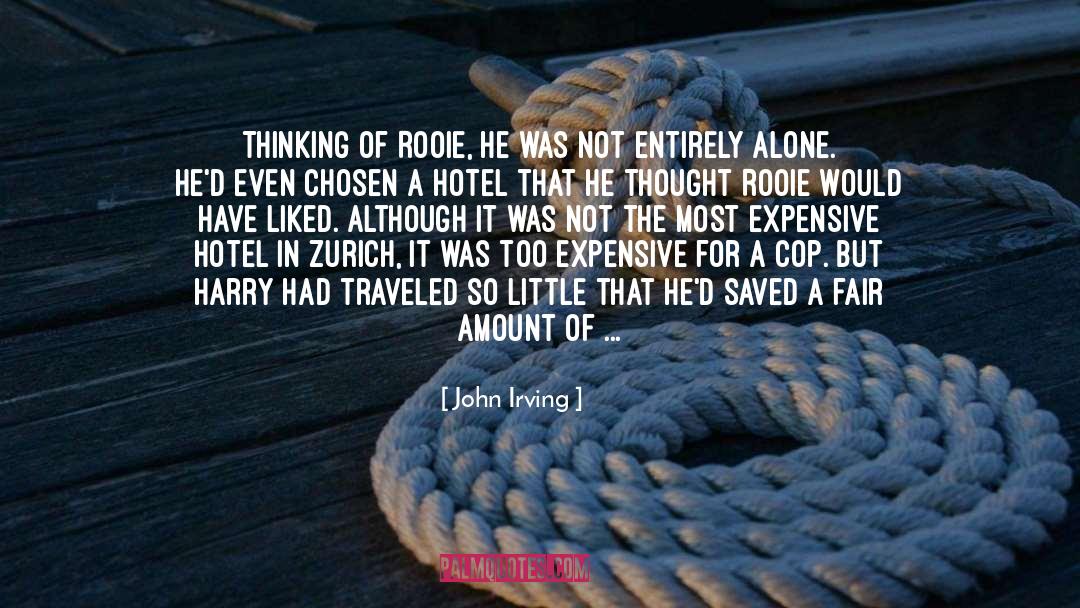 2nd Amendement quotes by John Irving