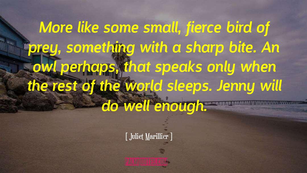3 More Sleeps quotes by Juliet Marillier