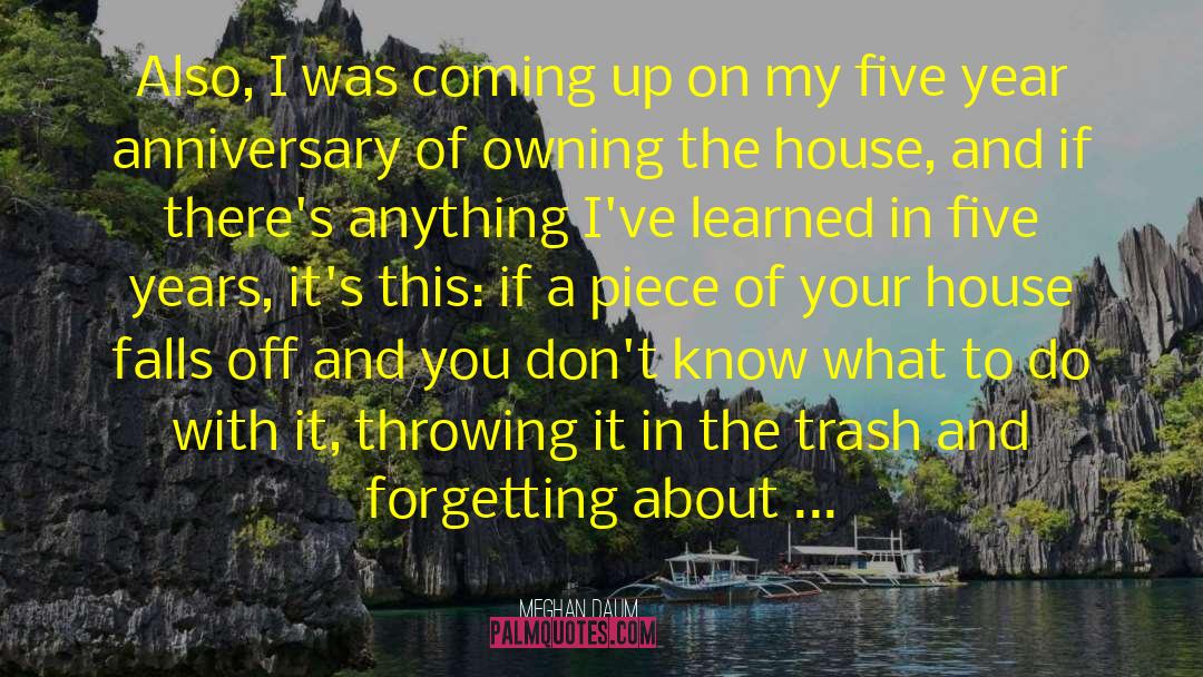 32nd Anniversary quotes by Meghan Daum