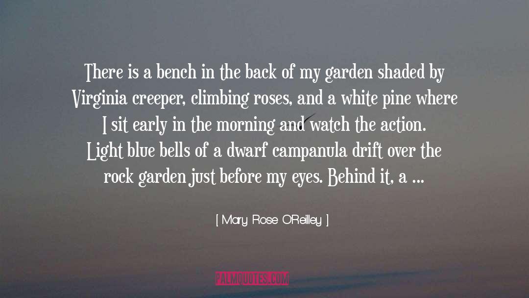 33 Days To Morning Glory quotes by Mary Rose O'Reilley