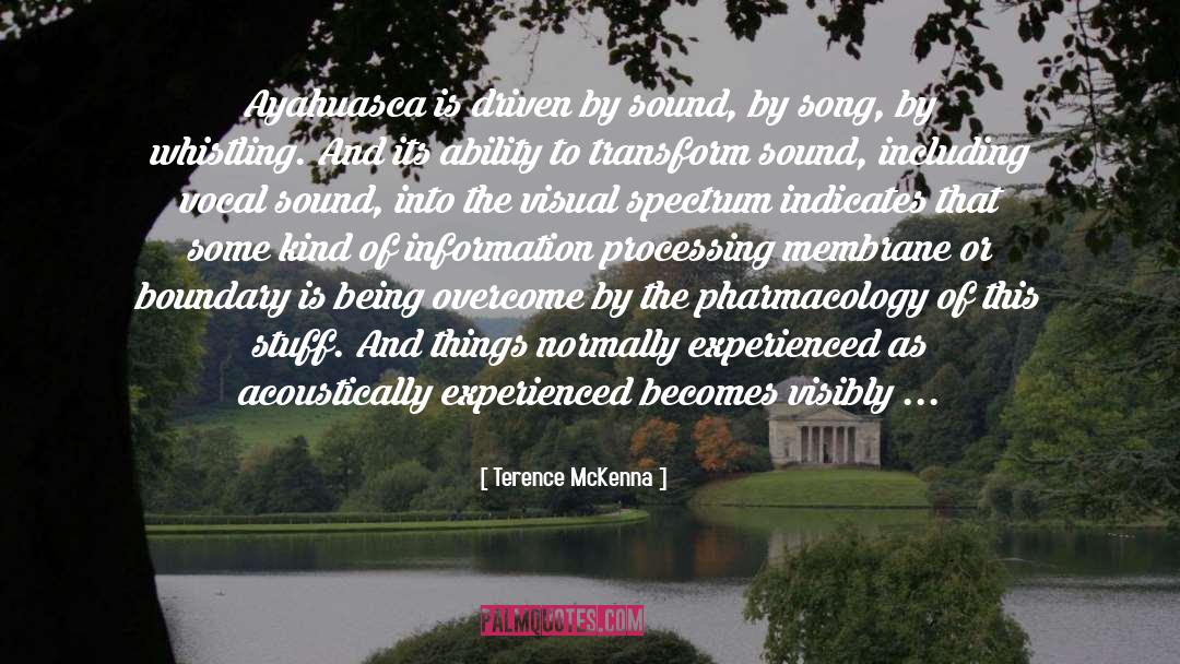 33 Spectacular quotes by Terence McKenna