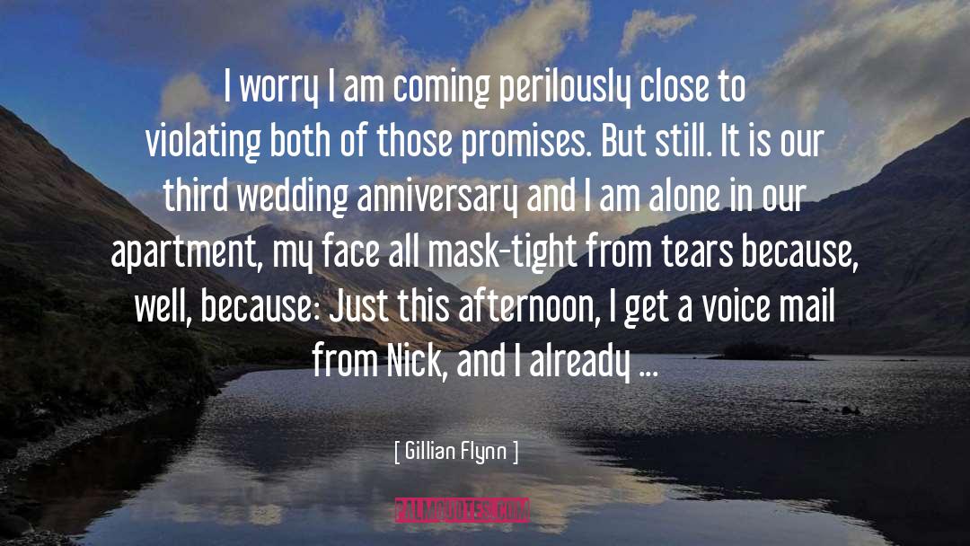 33rd Wedding Anniversary quotes by Gillian Flynn