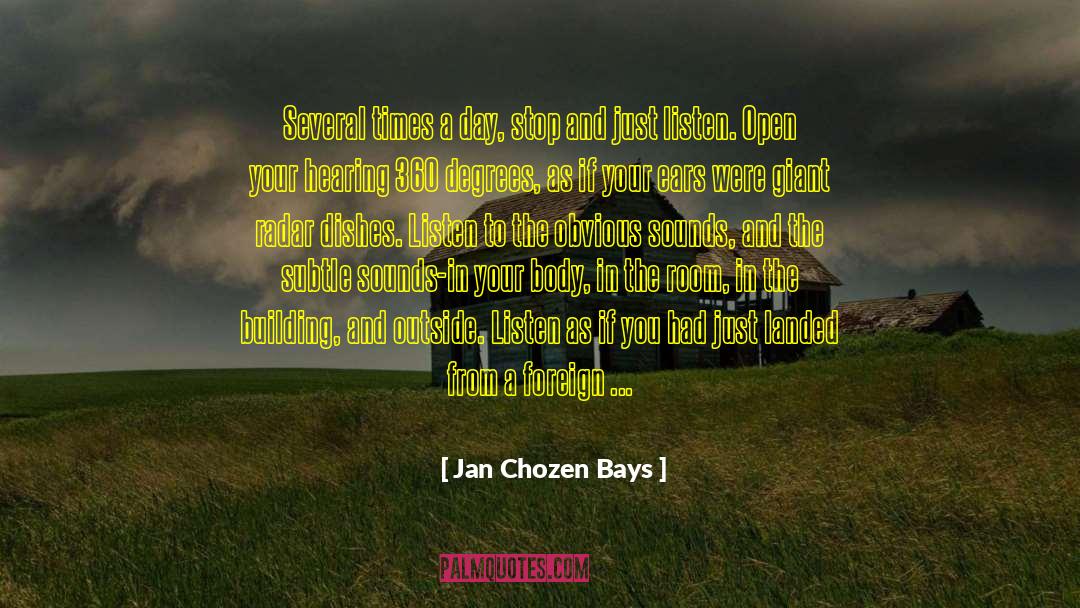 360 Degrees quotes by Jan Chozen Bays